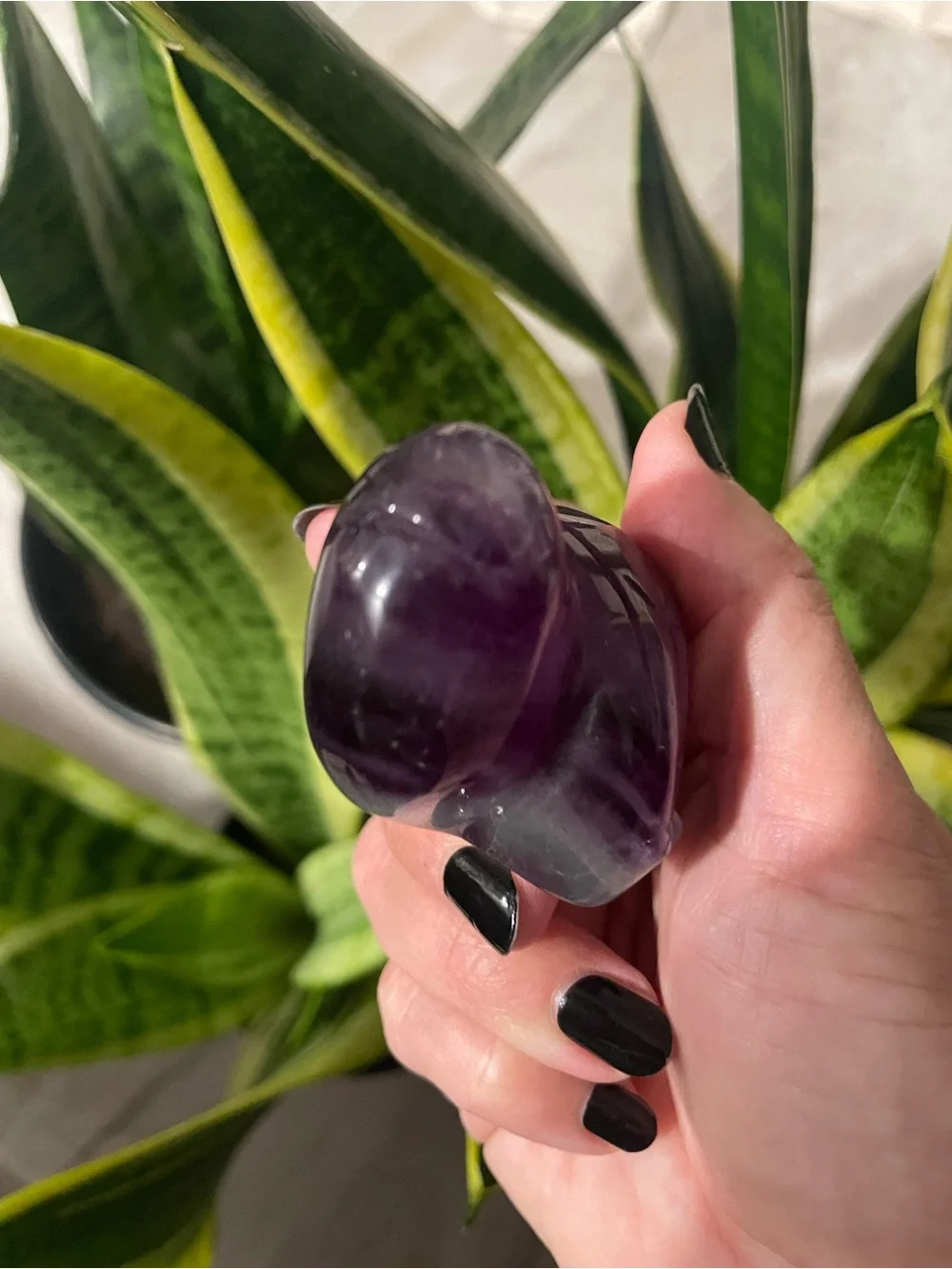Large purple fluorite polished crystal sea turtle
